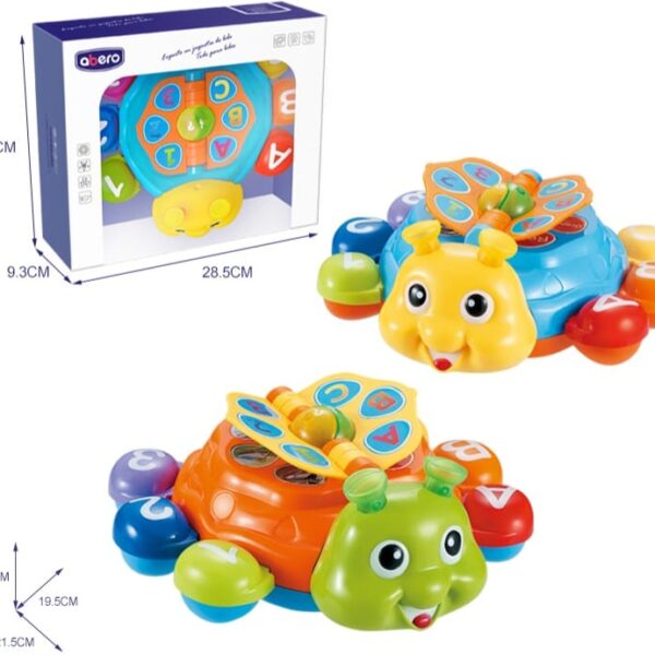 Tortue Musique et Lumière Abéro