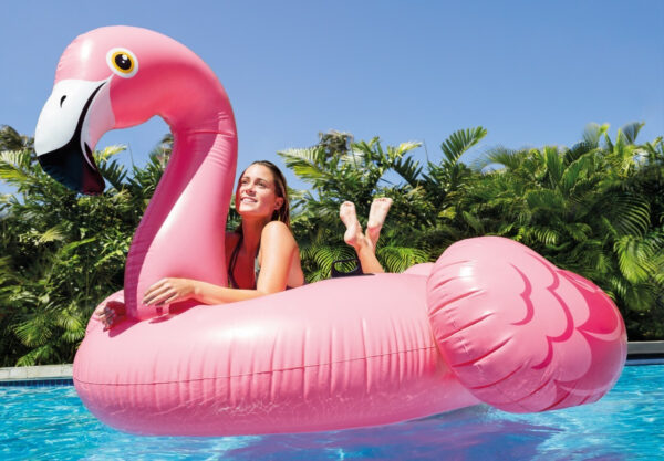 Mega flamant rose Intex 57288 – Image 4
